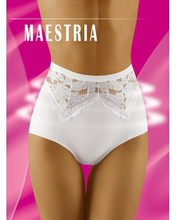 FIGI MAESTRIA